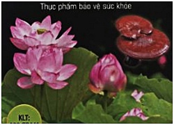 Hoa mắt, ù tai với sản phẩm Đông y gia truyền trên mạng