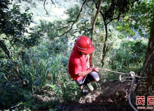 Người cha nhẫn tâm ném con gái mới sinh 6 tiếng xuống vách núi vì lý do khó ngờ