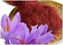 Nhuỵ Hoa Nghệ Tây (Saffron) Thần Thánh Đến Mức Nào Mà Chị Em Đổ Xô Sử Dụng?