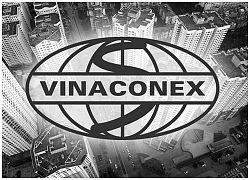 Thoái vốn Vinaconex: Thành công, Nhà nước sẽ thu được bao nhiêu tiền?