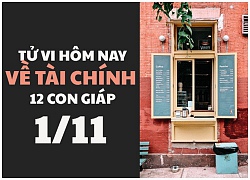 Tử vi hôm nay (1/11) về tài chính của 12 con giáp: Tuổi Ngọ được lợi, tuổi Tý khó khăn