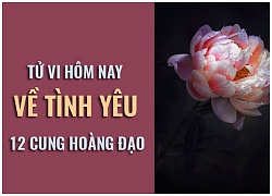 Tử vi hôm nay (2/11) về tình yêu của 12 cung hoàng đạo: Ma Kết thu hút