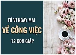 Tử vi ngày mai (2/11) về công việc của 12 con giáp: Tuổi Tý chăm chỉ