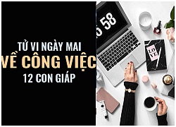 Tử vi ngày mai (3/11) về công việc của 12 con giáp: Tuổi Sửu mệt mỏi