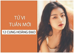 Tử vi tuần mới (5/11 - 11/11) của 12 cung hoàng đạo: Song Tử đa nghi, Thiên Bình thị phi