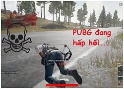 9 tháng sụt giảm liên tiếp, đã đến lúc gọi PUBG là game "Trung Quốc mở rộng"