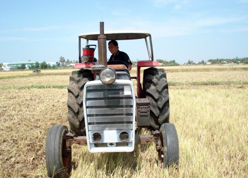 An Nhứt được mùa từ "ruộng lúa bờ hoa"