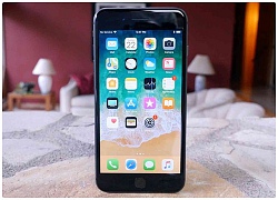 Apple bán iPhone 8, 8 Plus hàng tân trang giá từ 449 USD