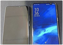 Asus ZenFone 6 lộ ảnh có nốt ruồi lệch