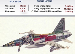 ĐỒ HỌA : Chiến đấu cơ mới của Iran có sức mạnh tương đương F-20 của Mỹ?