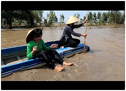 Lang thang trên cánh đồng ngập nước giăng lưới cá mè vinh