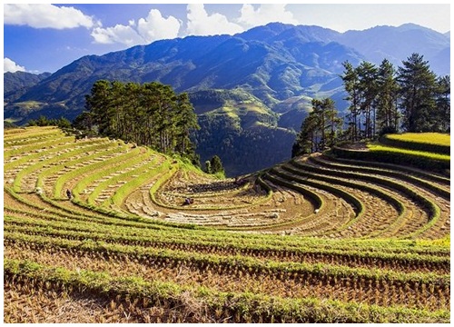 Mù Cang Chải, nơi những thửa ruộng vươn tới trời xanh