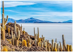 Ngắm cảnh đẹp 'siêu thực' ở cánh đồng muối lớn nhất thế giới Salar de Uyuni