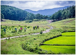 Những đồi cỏ xanh bạt ngàn trên cung đường trekking đẹp nhất Việt Nam