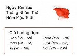 Phong thủy hàng ngày (5/11/2018) của 12 con giáp