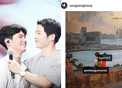 Song Joong Ki chia sẻ ảnh ủng hộ phim 'Boyfriend/Encounter' của Song Hye Kyo và Park Bo Gum