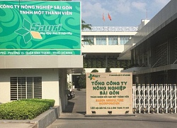 TP Hồ Chí Minh: Tăng mức kỷ luật ông Lê Tấn Hùng