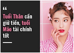 Tử vi hôm nay (5/11) về tài chính của 12 con giáp: Tuổi Thân cần giữ tiền