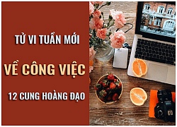 Tử vi tuần mới (5/11 11/11) về công việc của 12 cung hoàng đạo