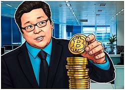 Bitcoin đang chạm đáy, có nên mua vào để tái đầu tư?