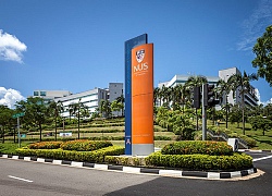 Những đại học dẫn đầu lĩnh vực khoa học máy tính, kỹ thuật-công nghệ, y khoa