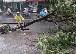 5 thói quen gây hại khi lái xe máy trời mưa