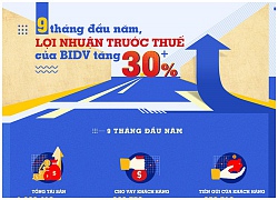 9 tháng đầu năm, lợi nhuận trước thuế của BIDV tăng 30%