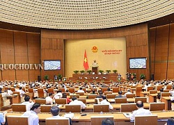 99,33% đại biểu Quốc hội bỏ phiếu tán thành nghị quyết quan trọng