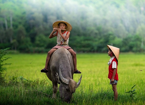 Chuyện chàng Trương Chê