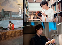 Đây là cách xem phim 'Encounter' của Song Hye Kyo và Park Bo Gum nhanh nhất với chất lượng tốt nhất