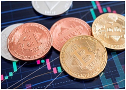 Giá Bitcoin hôm nay 8/11: Toàn thị trường đi lên