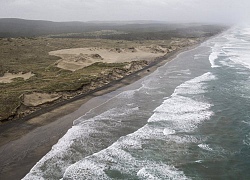 New Zealand: Tưởng búp bê trôi nổi trên biển, không ngờ là em bé