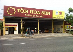 Tập đoàn Hoa Sen bán hơn 7.000 m2 đất tại Quận 9