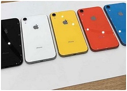 Tờ Nikkei: Apple hủy bỏ kế hoạch tăng sản lượng iPhone XR