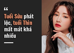 Tử vi hôm nay (6/11) về tài chính của 12 con giáp: Tuổi Sửu phát lộc