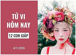 Tử vi hôm nay (8/11/2018) của 12 con giáp: Tuổi Ngọ bất ngờ, tuổi Mùi thỏa mãn