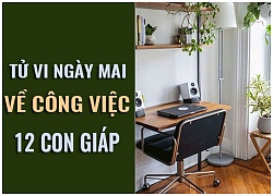 Tử vi ngày mai (8/11) về công việc của 12 con giáp: Tuổi Ngọ lập kế hoạch