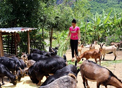 Vốn Hội về, vùng cao Sốp Cộp đổi thay