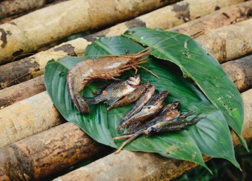 Bộ lạc từng ăn thịt người, sống hoang dã và nguyên thủy nhất thế giới