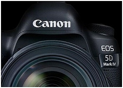 Canon đã có được 22% doanh số máy ảnh Mirrorless Full Frame tại thị trường Nhật Bản