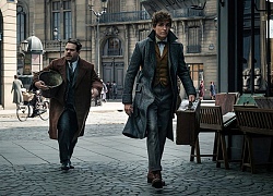 'Fantastic Beasts 2' đạt điểm số thấp nhất trong loạt phim 'Harry Potter' trên Rotten Tomatoes