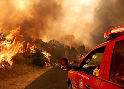 Mỹ: Ít nhất 5 người thiệt mạng do cháy rừng ở California