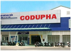 Quý III, Codupha (CDP) đạt chưa tới 2 tỷ đồng lợi nhuận, giảm 76% cùng kỳ