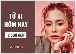 Tử vi hôm nay (9/11/2018) của 12 con giáp: Tuổi Thân quí nhân phù trợ, tuổi Dậu đầy cảm hứng