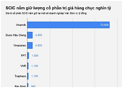 Bàn giao 'ông lớn' sở hữu hơn trăm nghìn tỷ về siêu ủy ban