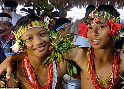 Bộ lạc nguyên thủy Indonesia hằng ngày đi săn bằng giáo, cung tên