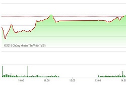 Chứng khoán chiều 12/11: Thị trường ấm hơn nhờ blue-chips