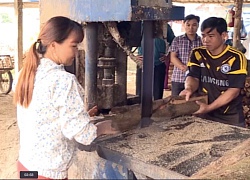 Đi học nghề xong, từ nuôi vài con lợn bạo tay đầu tư trang trại