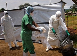 Dịch Ebola tại Congo diễn biến đáng lo ngại