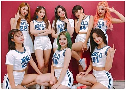 Fan BTS nổi điên vì nghi ngờ Jimin bị đàn em Momoland ngó lơ